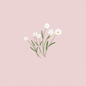 Meet your Posher, Lexi